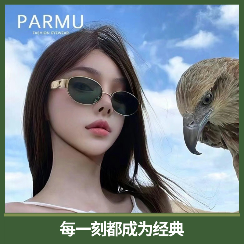 “时光之眸”复古高级感椭圆形金属墨镜