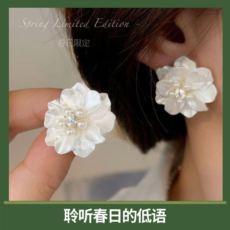 春日花语