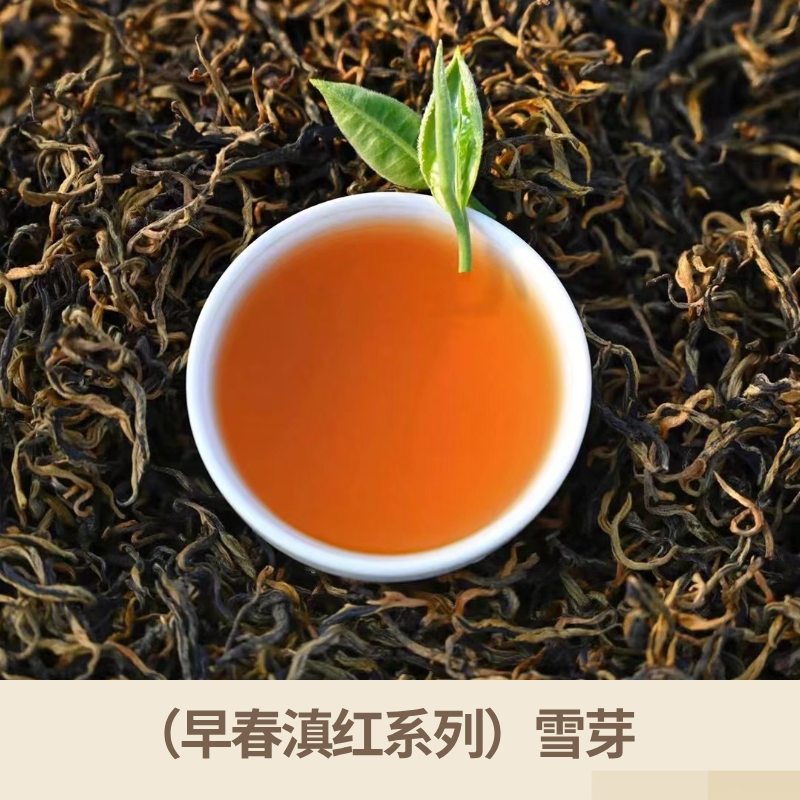 （早春滇红系列）雪芽红茶
